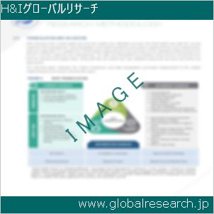グローバルリサーチ調査レポートのイメージ
